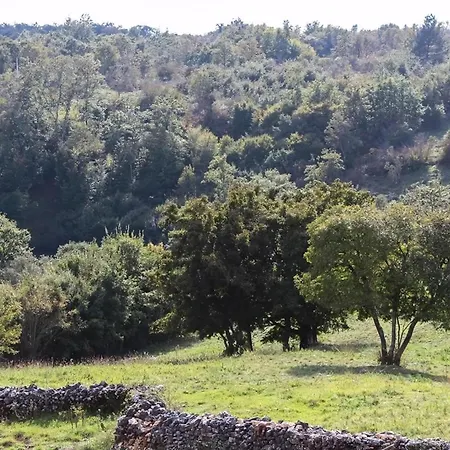 Arton Hébergement de vacances Žminj
